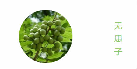 NewNewDIY|敏感肌如何選洗面奶？皮膚科醫(yī)生推薦這款！