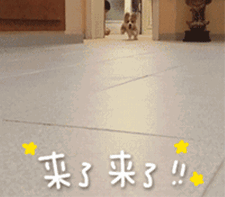 美妝課堂 | 春夏元?dú)饪诩t大推薦，選擇這幾支準(zhǔn)沒(méi)錯(cuò)！