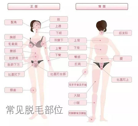春季不脫毛，夏季獼猴桃！現(xiàn)在是脫毛的 佳時(shí)機(jī)~