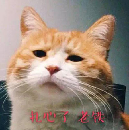 敏感肌們，你離變美就差這瓶精華液啦！
