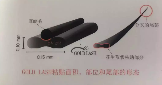 貌雖美卻眼無神？GOLD LASH夏日「美睫」Get娃娃電眼