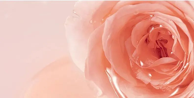 補水修復組合 | 玫瑰鮮“活”，肌膚萬能補水神器